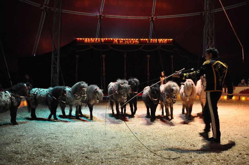 Zirkus Aeros in Nordhausen