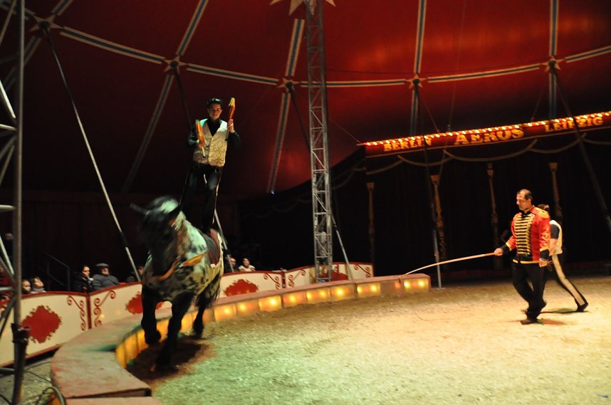 Zirkus Aeros in Nordhausen