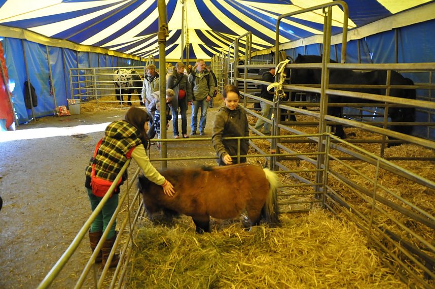 Zirkus Aeros in Nordhausen