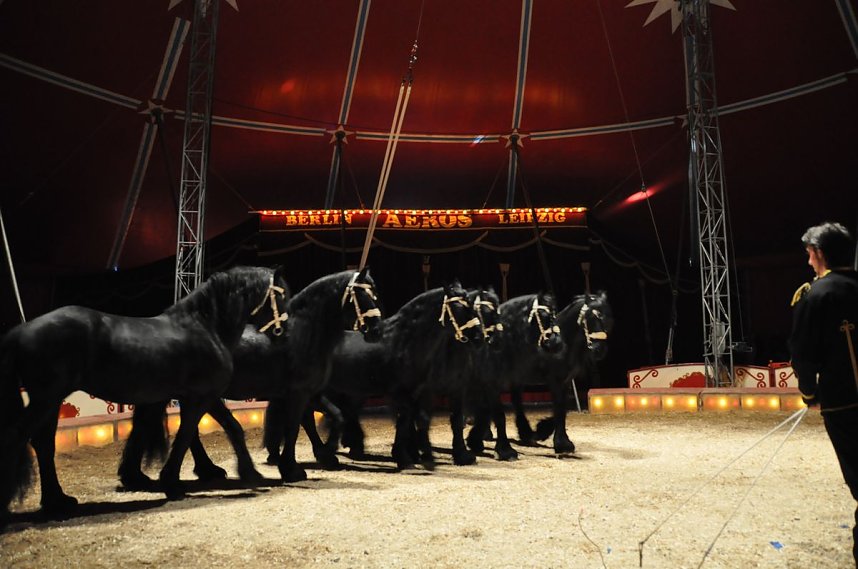 Zirkus Aeros in Nordhausen