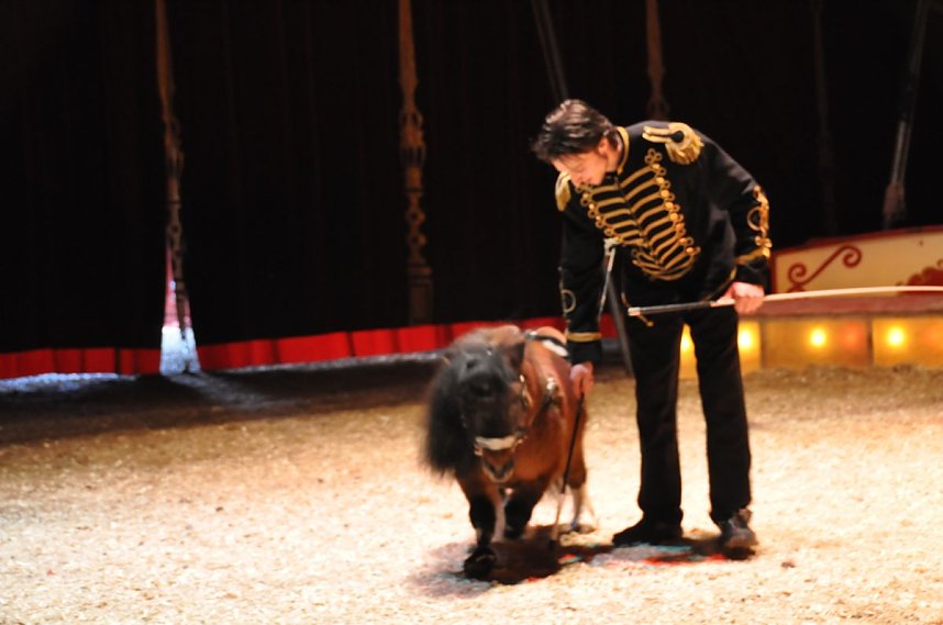 Zirkus Aeros in Nordhausen