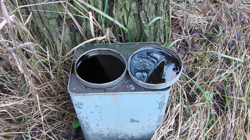 Schwarzbergs Wegwerfgesellschaft