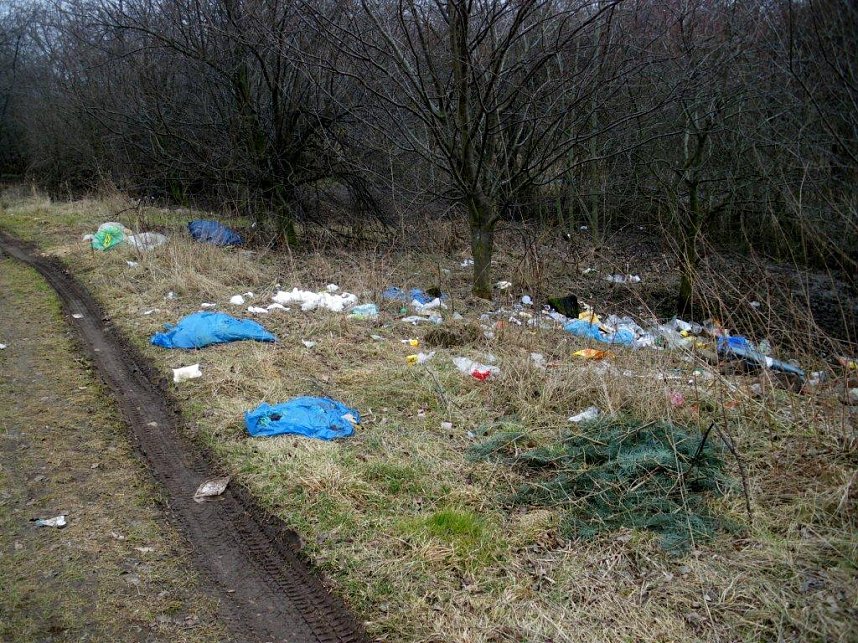 Umwelt am Kiesteich verschandelt