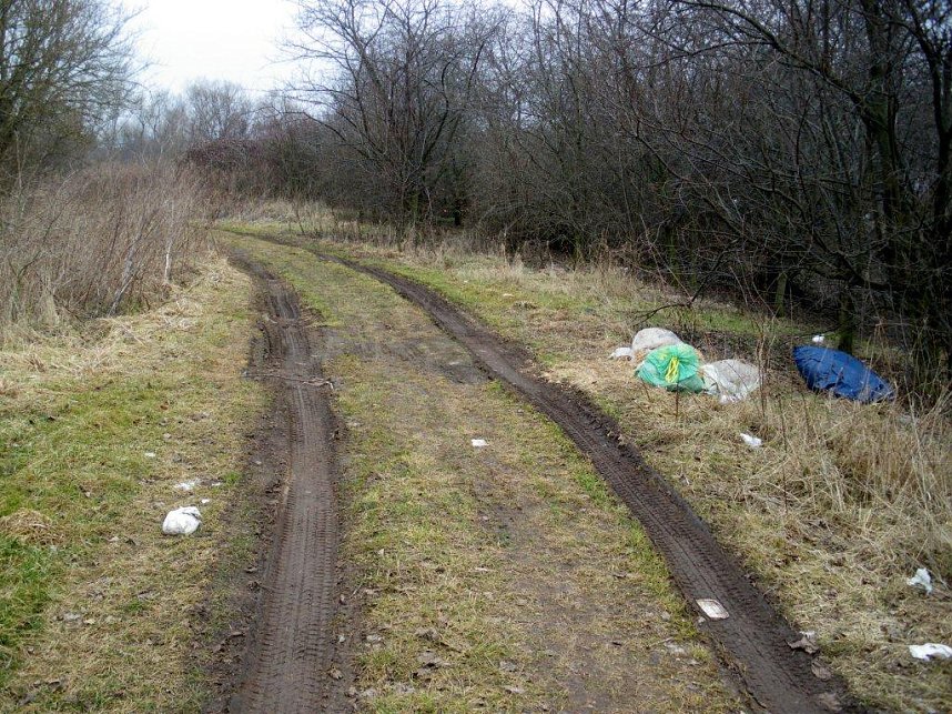 Umwelt am Kiesteich verschandelt