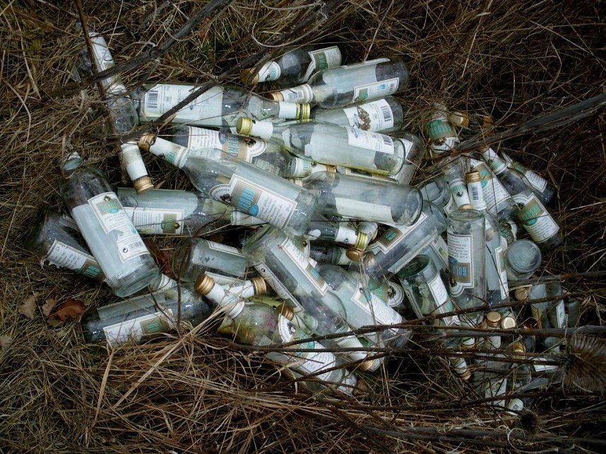 Umwelt am Kiesteich verschandelt