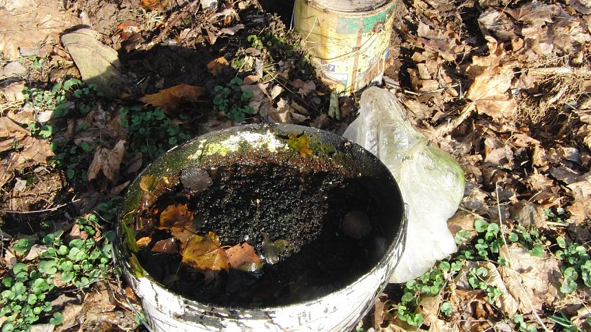 Schwarzbergs Wegwerfgesellschaft