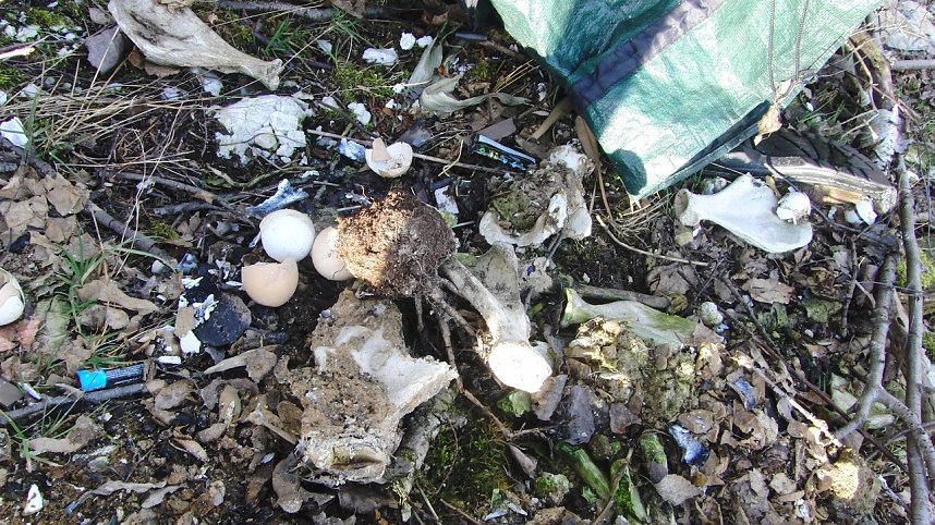 Schwarzbergs Wegwerfgesellschaft