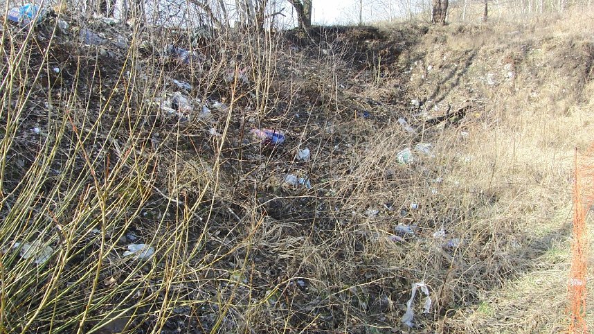 Schwarzbergs Wegwerfgesellschaft