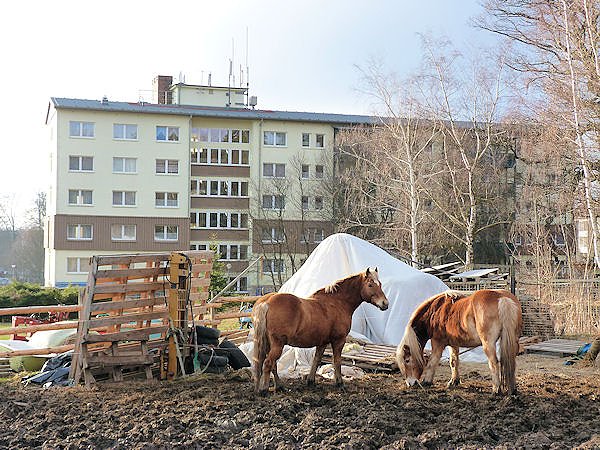 Unterwegs im Harz: Friedrichsbrunn