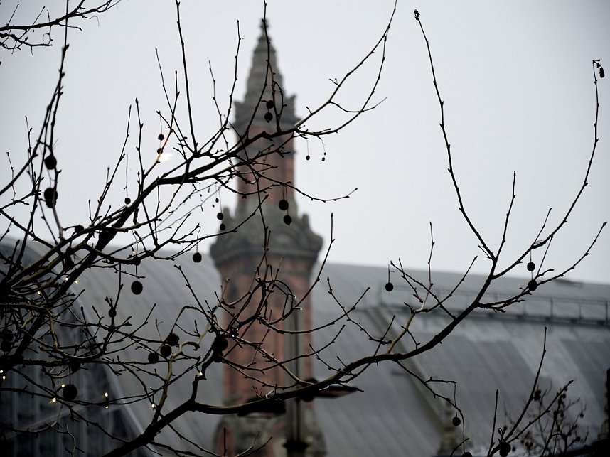 Ein Nordh&auml;user im Norden