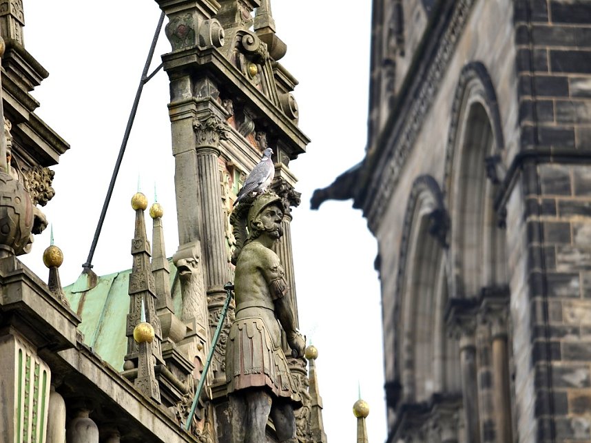 Ein Nordh&auml;user im Norden