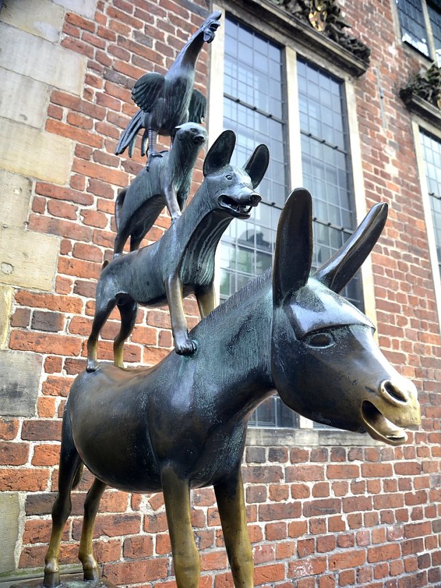 Ein Nordh&auml;user im Norden