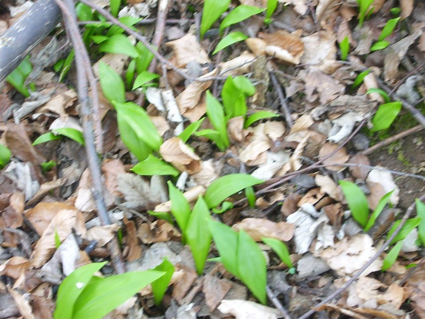Arbeiten an der "Langen Wand"