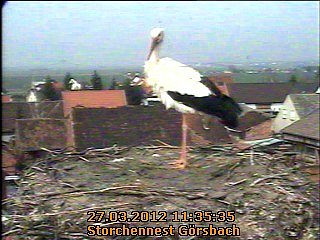 Neues aus dem Strochennest