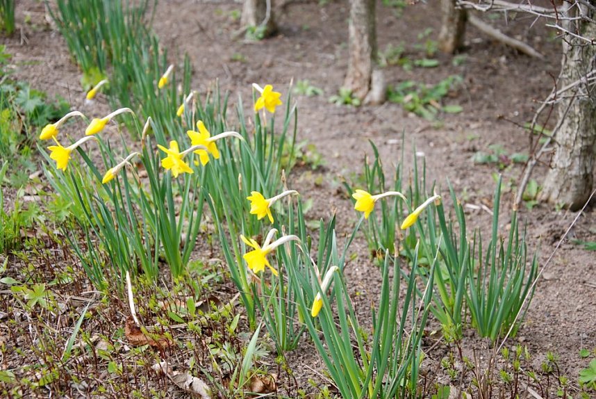 Sonntag auf den Petersberg