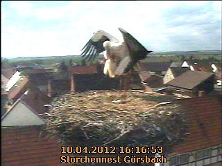 Neues aus dem Strochennest