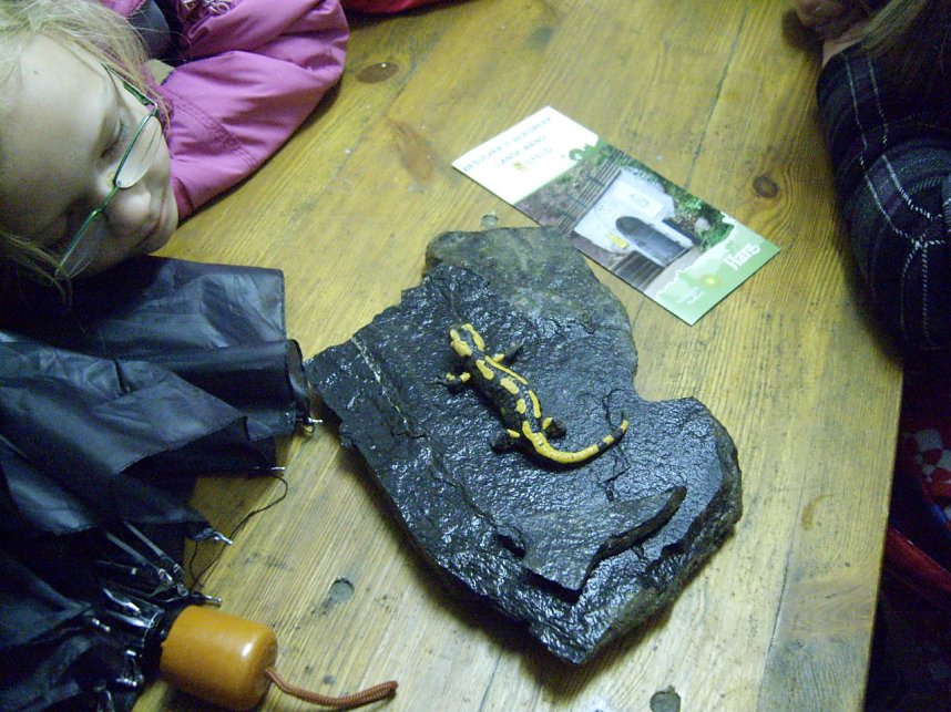 Zu Besuch im Bergwerk