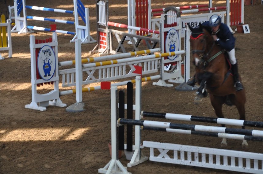 Hoffest & Reitturnier Wollersleben