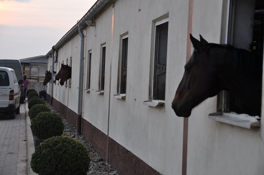 Hoffest & Reitturnier Wollersleben