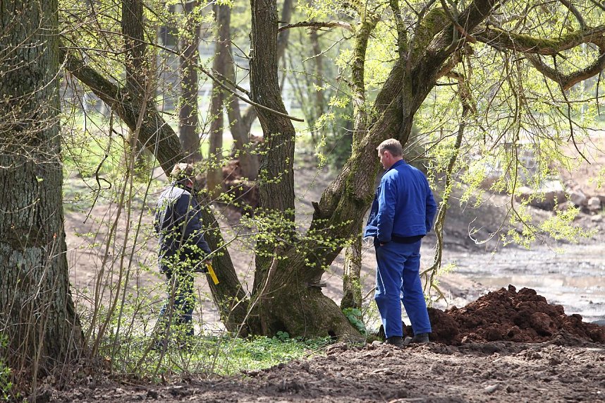 Stadtpark nimmt Konturen an