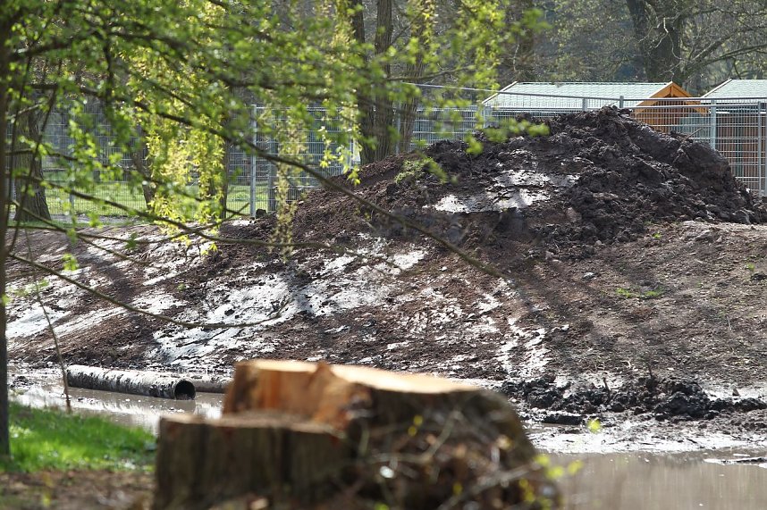 Stadtpark nimmt Konturen an