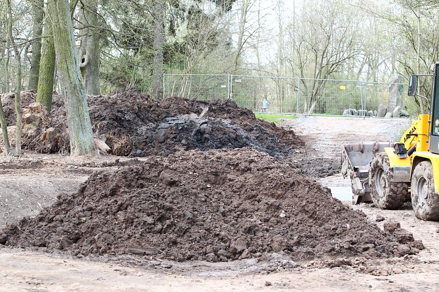 Stadtpark nimmt Konturen an