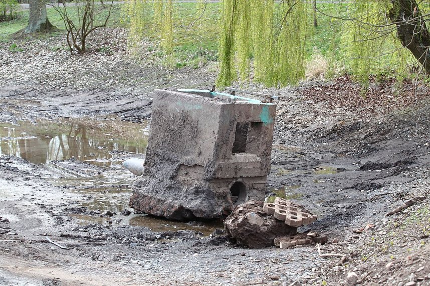 Stadtpark nimmt Konturen an