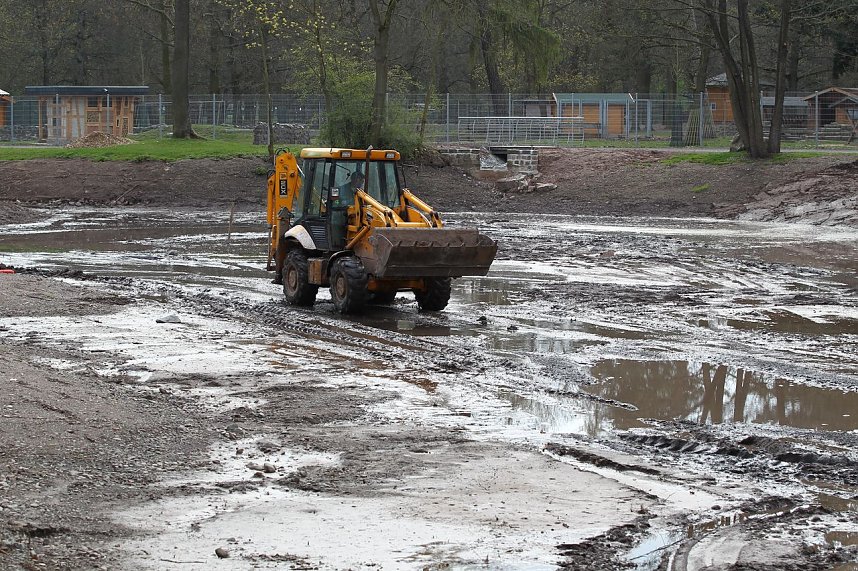 Stadtpark nimmt Konturen an