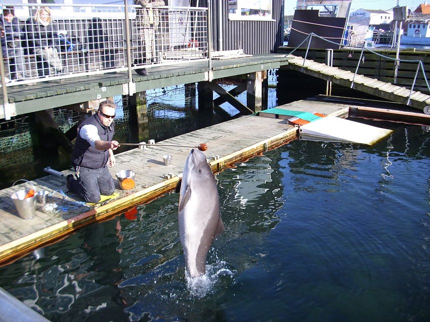 Meeresaquarium Fjord & Baelt, Kerteminde