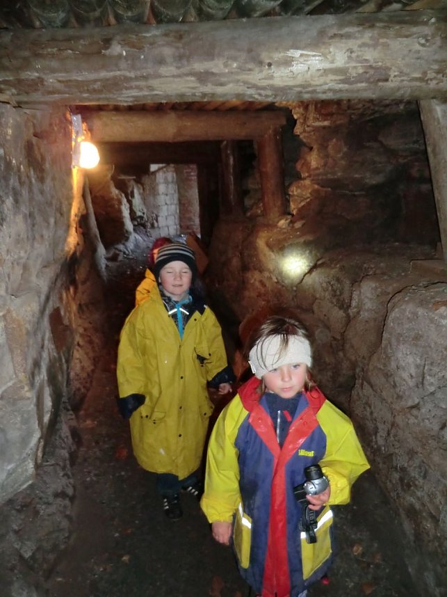 Entdeckungen im S&uuml;dharz