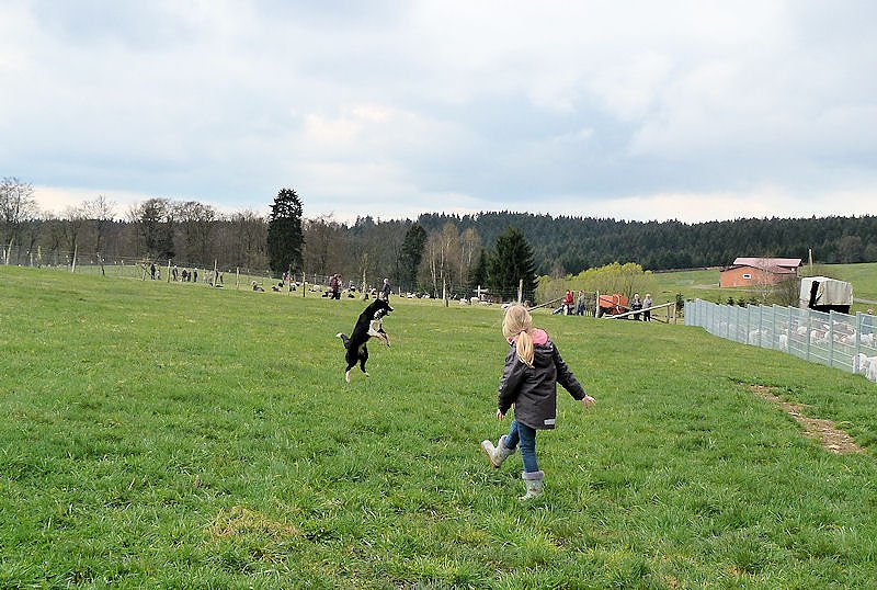 L&auml;mmerfest auf der Ziegenalm in Sophienhof