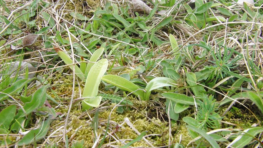 Folgen des Klimawandels