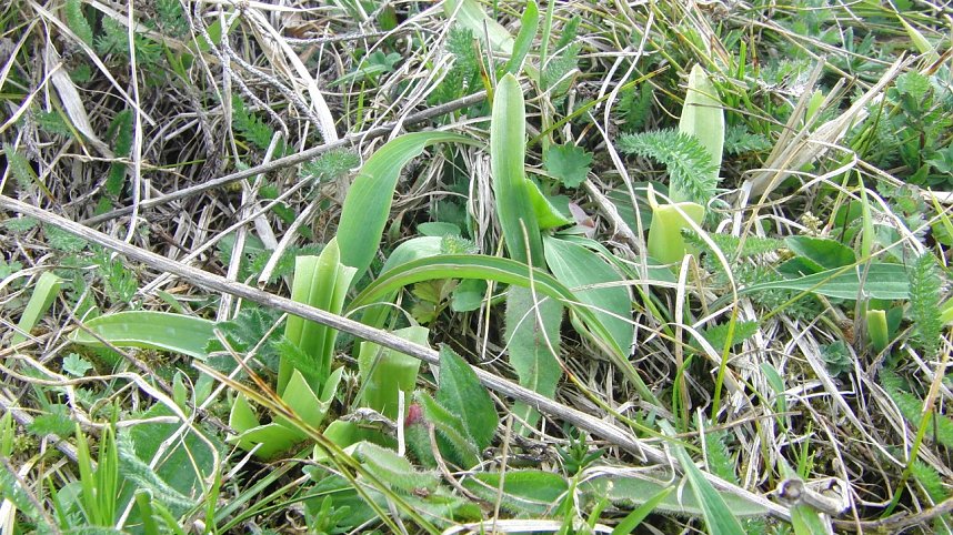 Folgen des Klimawandels