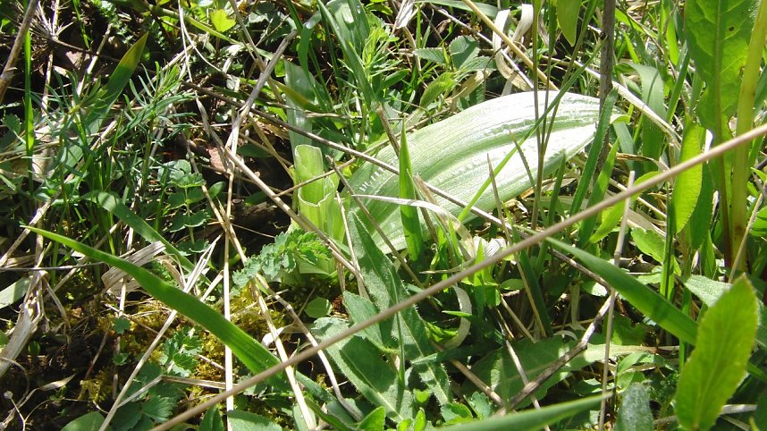 Folgen des Klimawandels