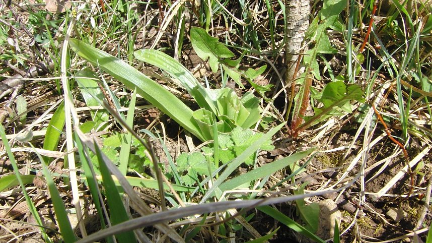 Folgen des Klimawandels