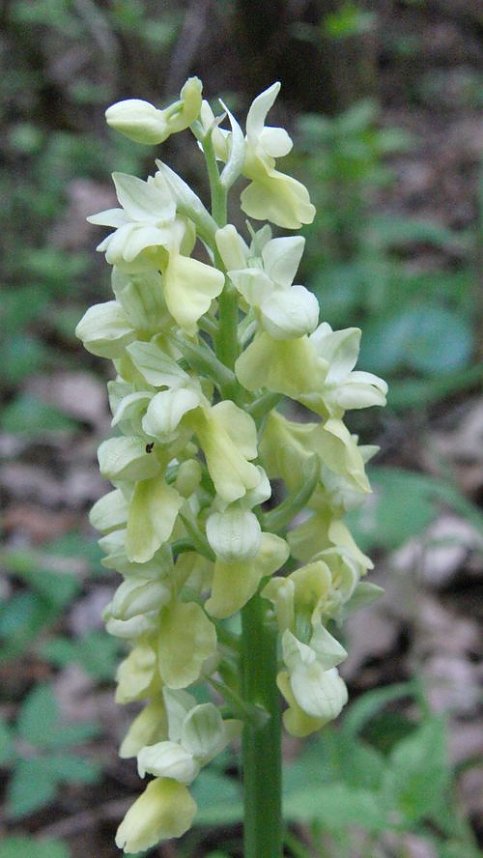 Folgen des Klimawandels