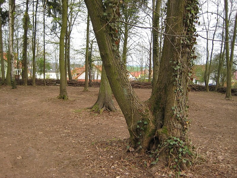 Nichts f&uuml;r Vierbeiner