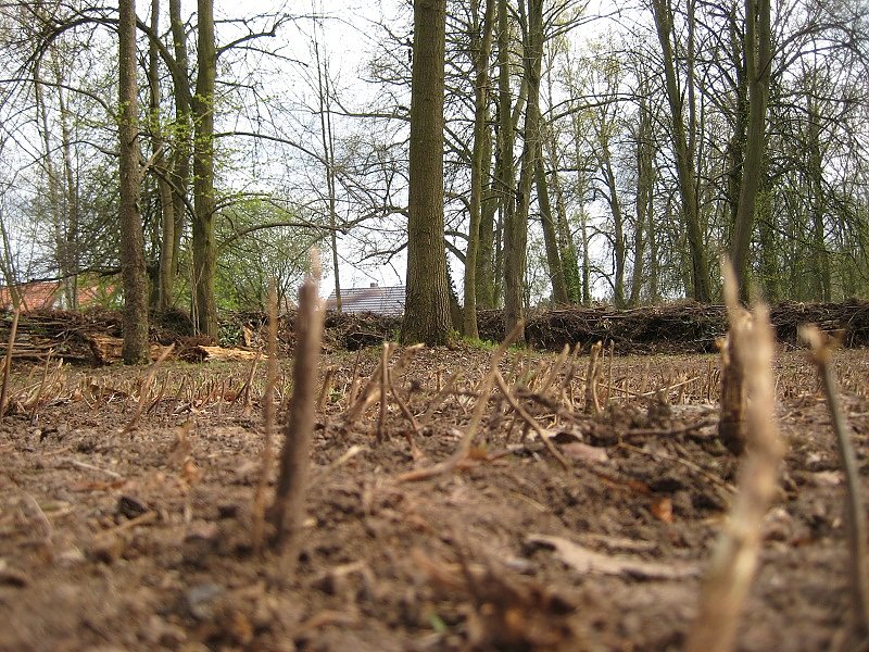 Nichts f&uuml;r Vierbeiner