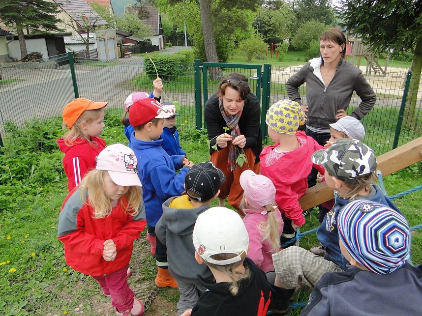 Projekttag in Herreden