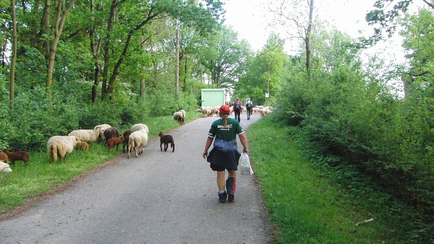 Sieben Seen - 104 Kilometer gewandert
