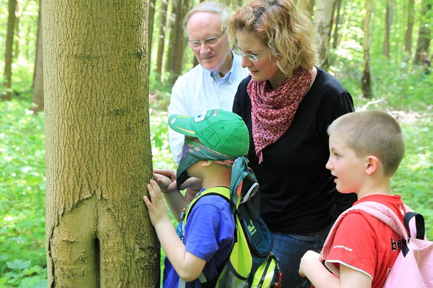 Neugierige Kids: Mit verbundenen Augen ertasten die Kinder die vielen Besonderheiten eines Baumes. Sp&auml;ter sollen sie ihren Baum wiederentdecken.
