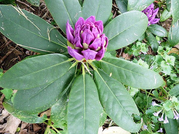 H&uuml;te und mehr im Park Hohenrode