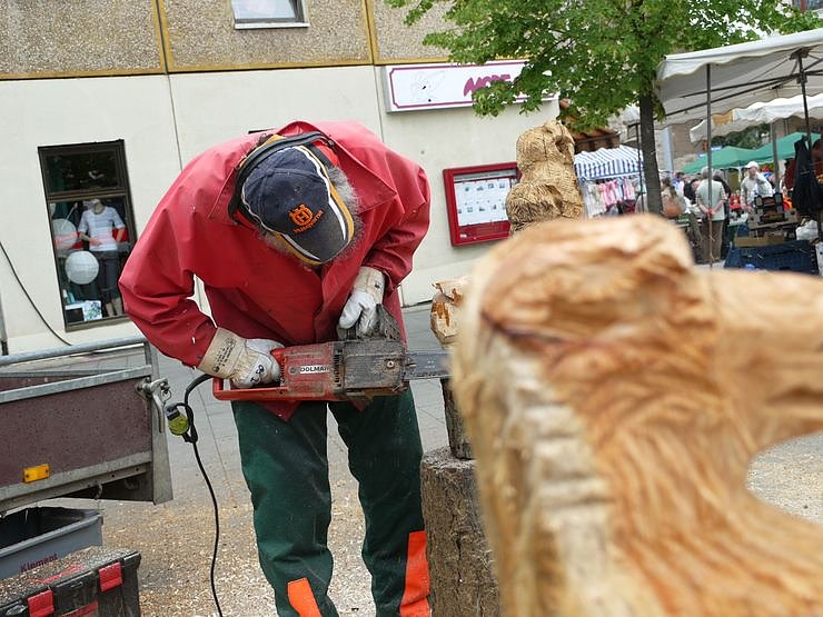 Vom Rathaus ins Gehege