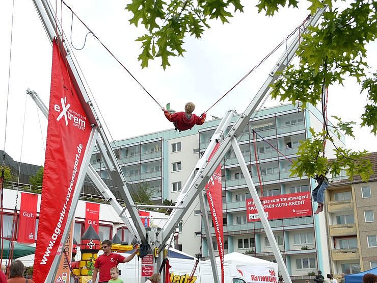 Vom Rathaus ins Gehege