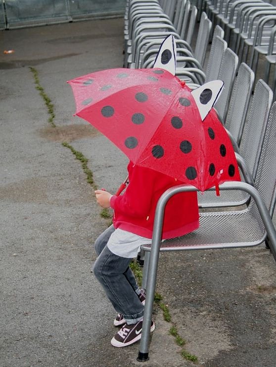 Vom Rathaus ins Gehege