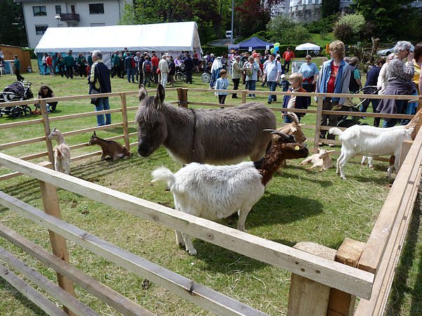 M&auml;rchentag in Bad Sachsa