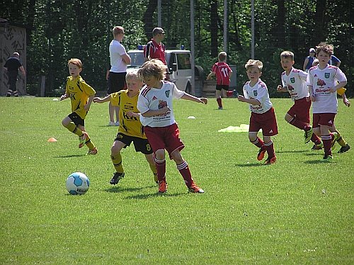 Gutes Turnier in Walkenried