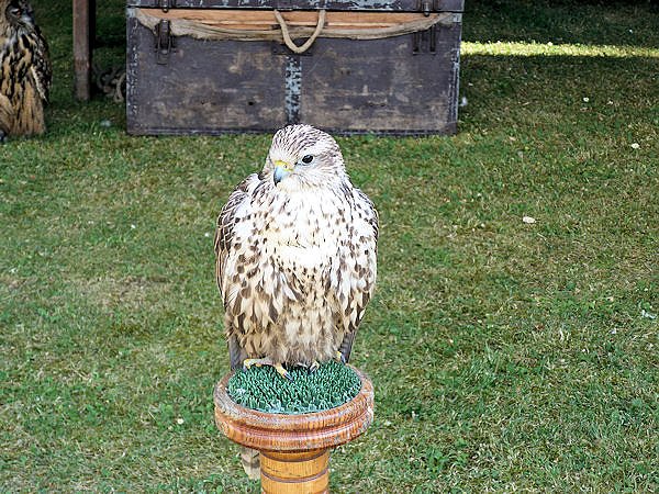 Ritterfest in Wei&szlig;ensee