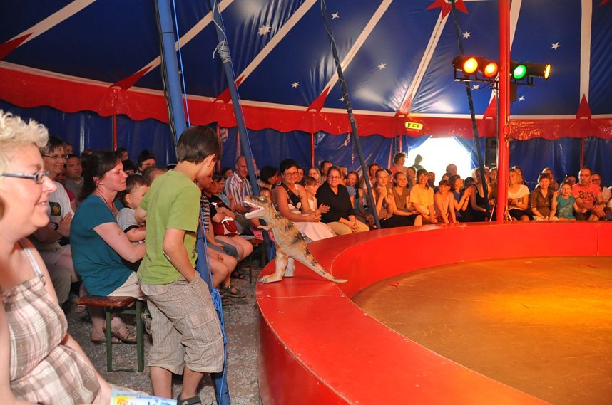 Gregor Wollnys wilder Wohnzimmerzirkus