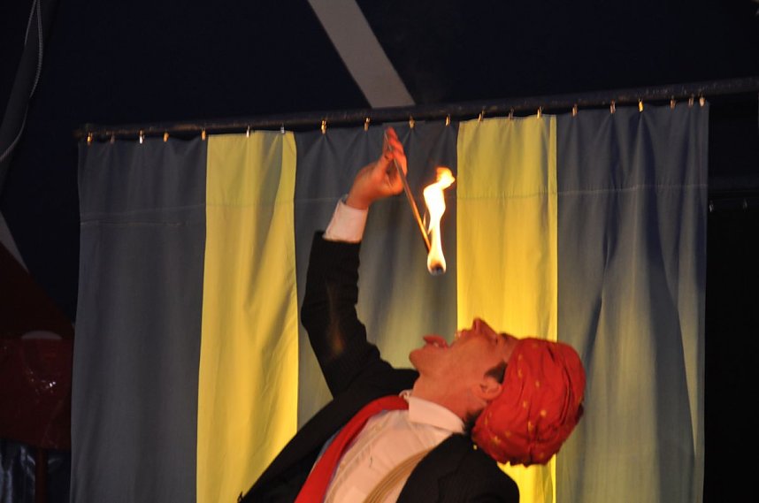 Gregor Wollnys wilder Wohnzimmerzirkus